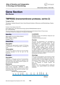 Gene Section TMPRSS2 (transmembrane protease, serine 2)  Atlas of Genetics and Cytogenetics