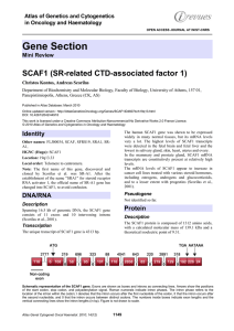 Gene Section SCAF1 (SR related CTD associated factor 1)