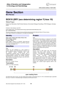 Gene Section SOX10 (SRY (sex determining region Y)-box 10)