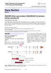 Gene Section RASSF6 (Ras association (RalGDS/AF-6) domain family member 6)