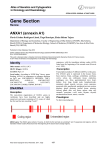 Gene Section ANXA1 (annexin A1)  Atlas of Genetics and Cytogenetics