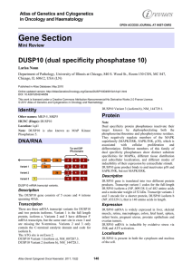 Gene Section DUSP10 (dual specificity phosphatase 10)  Atlas of Genetics and Cytogenetics