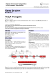 Gene Section TAGLN (transgelin)  Atlas of Genetics and Cytogenetics
