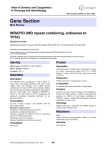 Gene Section WRAP53 (WD repeat containing, antisense to TP53)