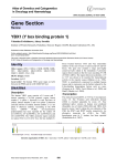 Gene Section YBX1 (Y box binding protein 1)