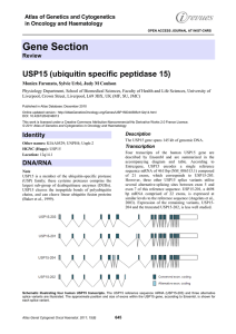 Gene Section USP15 (ubiquitin specific peptidase 15)  Atlas of Genetics and Cytogenetics