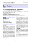 Gene Section FLI1 (Friend leukemia virus integration 1) in Oncology and Haematology