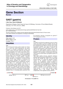 Gene Section GAST (gastrin)  Atlas of Genetics and Cytogenetics