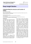 Deep Insight Section Understanding the structure and function of ASH2L