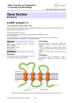 Gene Section CLDN7 (claudin 7)  Atlas of Genetics and Cytogenetics