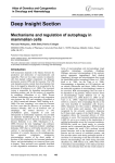 Deep Insight Section Mechanisms and regulation of autophagy in mammalian cells