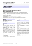 Gene Section BEX1 (brain expressed, X-linked 1) Atlas of Genetics and Cytogenetics