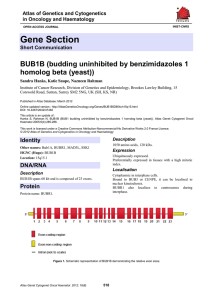 Gene Section BUB1B (budding uninhibited by benzimidazoles 1 homolog beta (yeast))