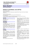 Gene Section NT5E (5'-nucleotidase, ecto (CD73)) Atlas of Genetics and Cytogenetics