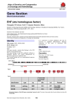 Gene Section EHF (ets homologous factor) Atlas of Genetics and Cytogenetics
