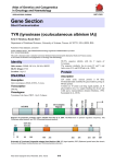 Gene Section TYR (tyrosinase (oculocutaneous albinism IA))  Atlas of Genetics and Cytogenetics