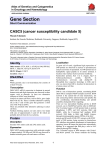 Gene Section CASC5 (cancer susceptibility candidate 5) Atlas of Genetics and Cytogenetics