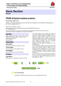 Gene Section FRZB (frizzled related protein) -