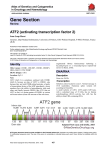 Gene Section ATF2 (activating transcription factor 2) Atlas of Genetics and Cytogenetics