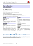 Gene Section CLSPN (claspin) Atlas of Genetics and Cytogenetics in Oncology and Haematology
