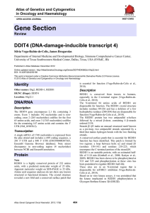Gene Section DDIT4 (DNA-damage-inducible transcript 4) Atlas of Genetics and Cytogenetics