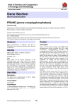 Gene Section PRUNE (prune exopolyphosphatase) Atlas of Genetics and Cytogenetics