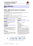 Gene Section WWC1 (WW and C2 domain containing 1)