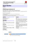 Gene Section PRDX4 (peroxiredoxin 4) Atlas of Genetics and Cytogenetics