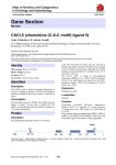 Gene Section CXCL5 (chemokine (C-X-C motif) ligand 5) in Oncology and Haematology