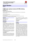 Gene Section FUBP1 (far upstream element (FUSE) binding protein 1)