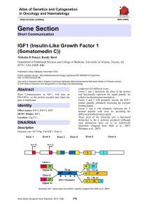 Gene Section IGF1 (Insulin-Like Growth Factor 1 (Somatomedin C))