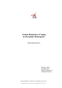 Genetic Biomarkers of Aging Drosophila Melanogaster Daria Solodovnikova