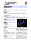 Gene Section IGFBP6 (insulin-like growth factor binding protein 6)