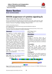 Gene Section SOCS6 (suppressor of cytokine signaling 6) in Oncology and Haematology