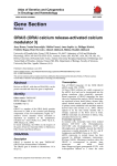 Gene Section ORAI3 (ORAI calcium release-activated calcium modulator 3)