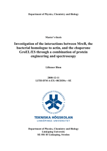 Investigation of the interactions between MreB, the