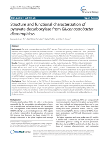 Structure and functional characterization of pyruvate decarboxylase from Gluconacetobacter diazotrophicus