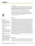 Arachidonic Acid and Docosahexaenoic Acid Suppress Osteoclast Formation and Activity