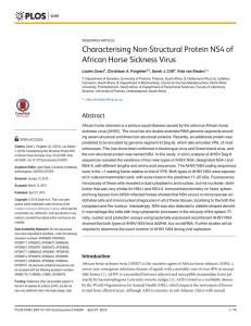 Characterising Non-Structural Protein NS4 of African Horse Sickness Virus