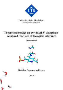 Theoretical studies on pyridoxal 5’-phosphate- catalyzed reactions of biological relevance 2014