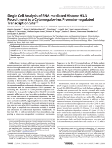 Single Cell Analysis of RNA-mediated Histone H3.3 Transcription Site