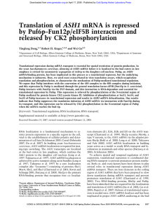 ASH1 by Puf6p–Fun12p/eIF5B interaction and released by CK2 phosphorylation Yingfeng Deng,