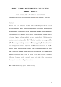 HIGHLY VISCOUS DOUGH FORMING PROPERTIES OF MARAMA PROTEIN