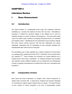 CHAPTER 2 Literature Review I   Bone Homeostasis