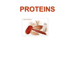 PROTEINS