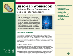 LESSON 2.3 WORKBOOK Part one: Glucose homeostasis in storing energy