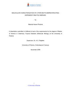 MOLECULAR CHARACTERIZATION OF A PORCINE PICOBIRNAVIRUS RNA- DEPENDENT RNA POLYMERASE. by