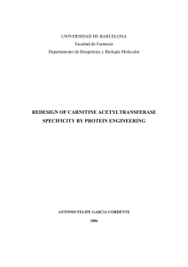 REDESIGN OF CARNITINE ACETYLTRANSFERASE SPECIFICITY BY PROTEIN ENGINEERING UNIVERSIDAD DE BARCELONA