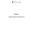 Chapter 6 Pichia pastoris