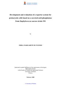 Development and evaluation of a reporter system for
